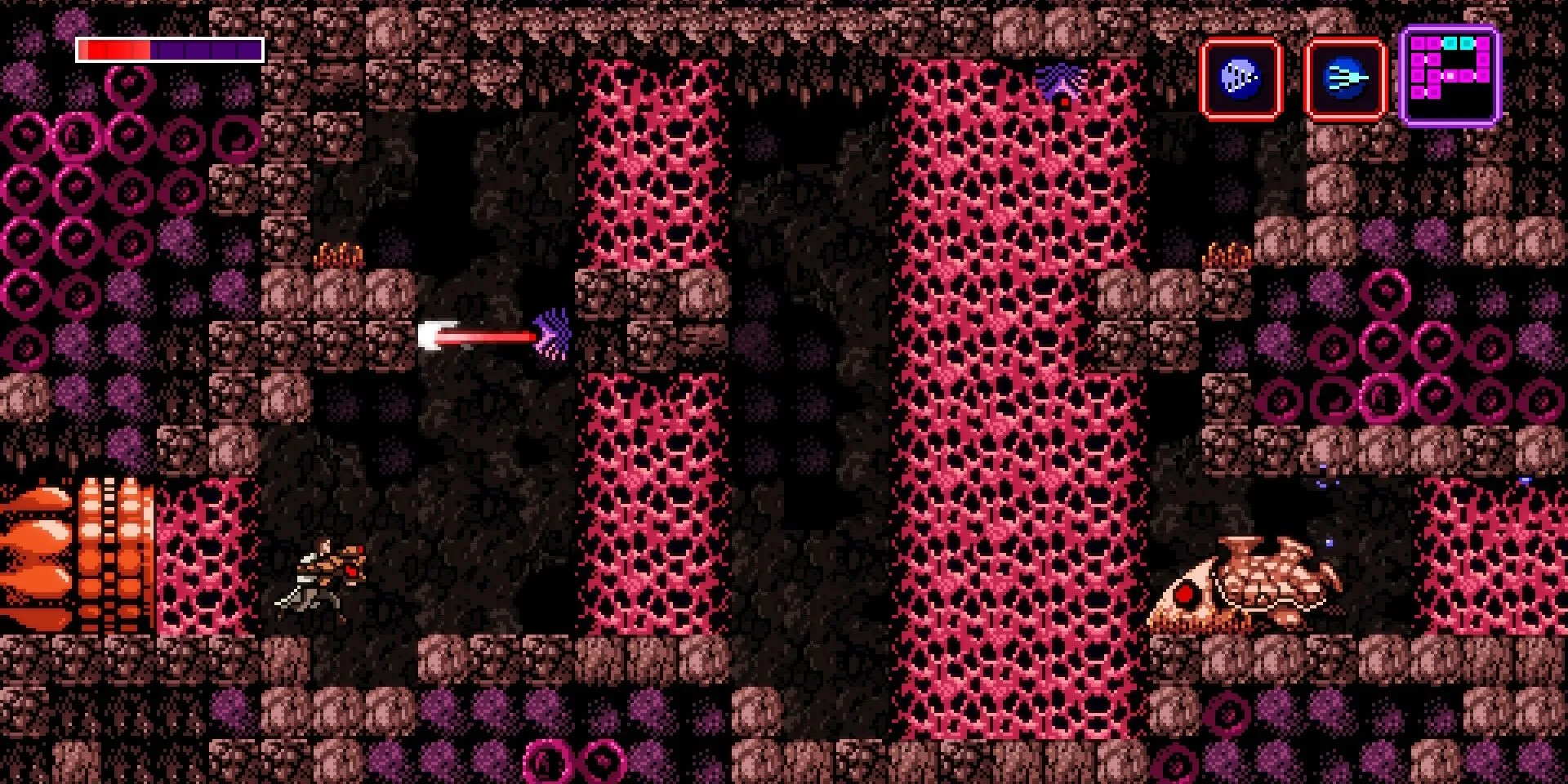 Bức tường lớn trong Axiom Verge, gợi ý về khả năng thao túng môi trường