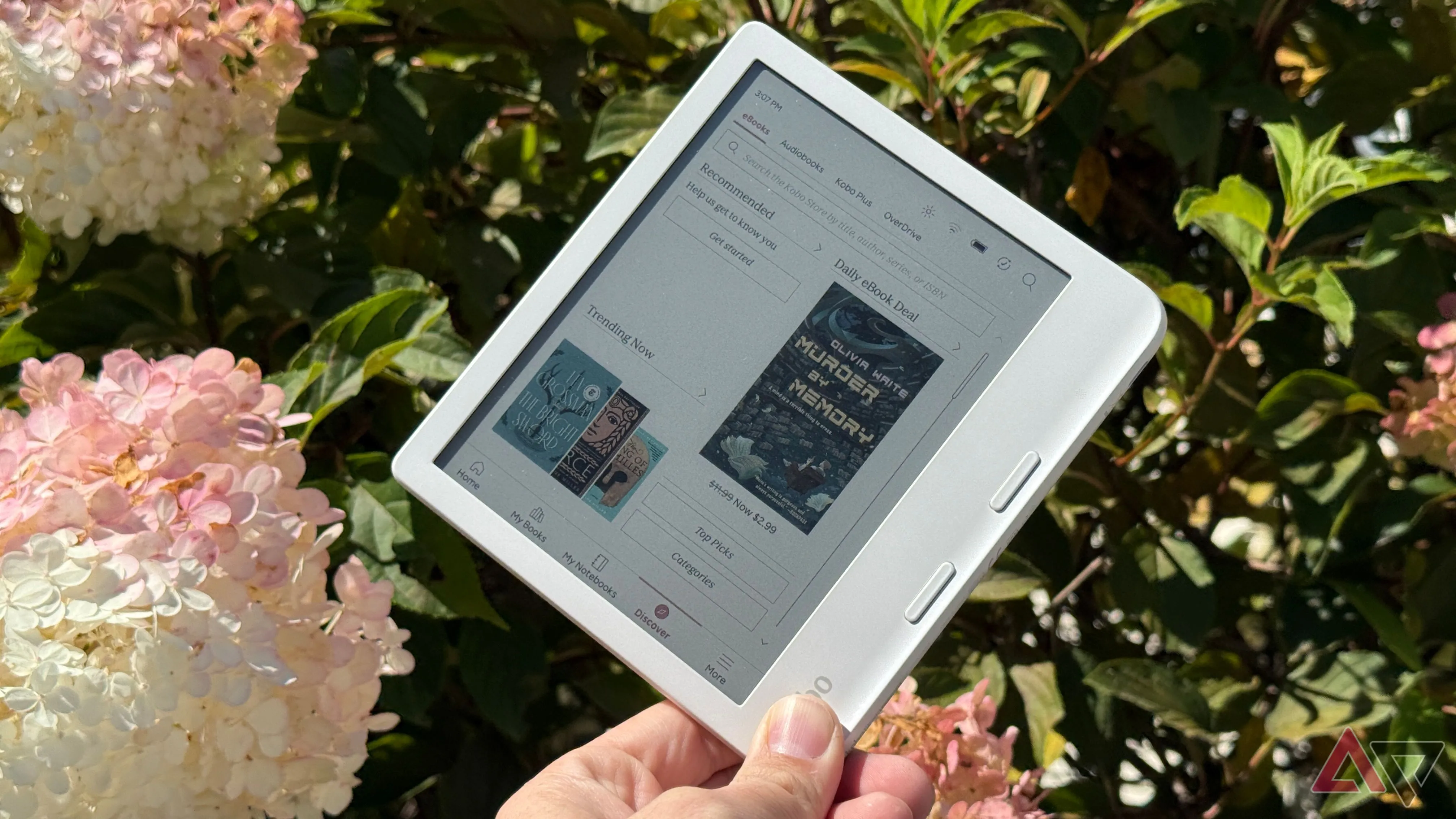 E-reader cầm tay gần hoa, gợi ý thay thế điện thoại bằng đọc sách thư thái